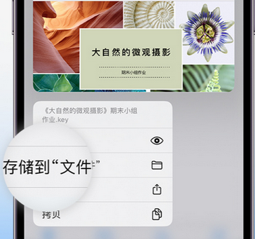 光泽apple维修中心分享iPhone文件应用中存储和找到下载文件