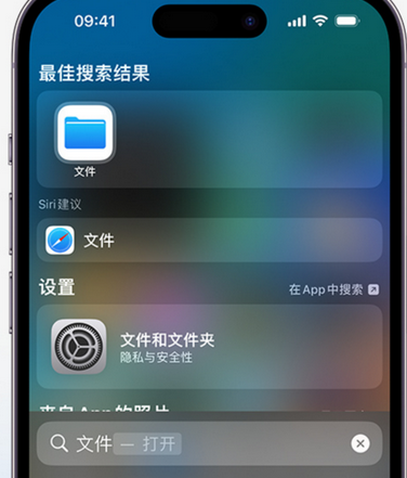 光泽apple维修中心分享iPhone文件应用中存储和找到下载文件 