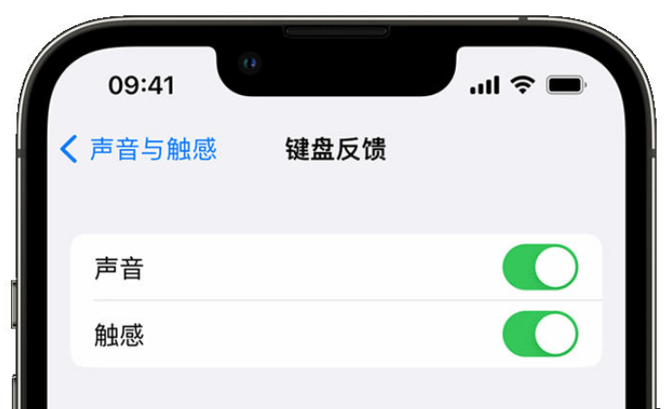 光泽苹果手机维修分享iPhone 14触感键盘使用方法 