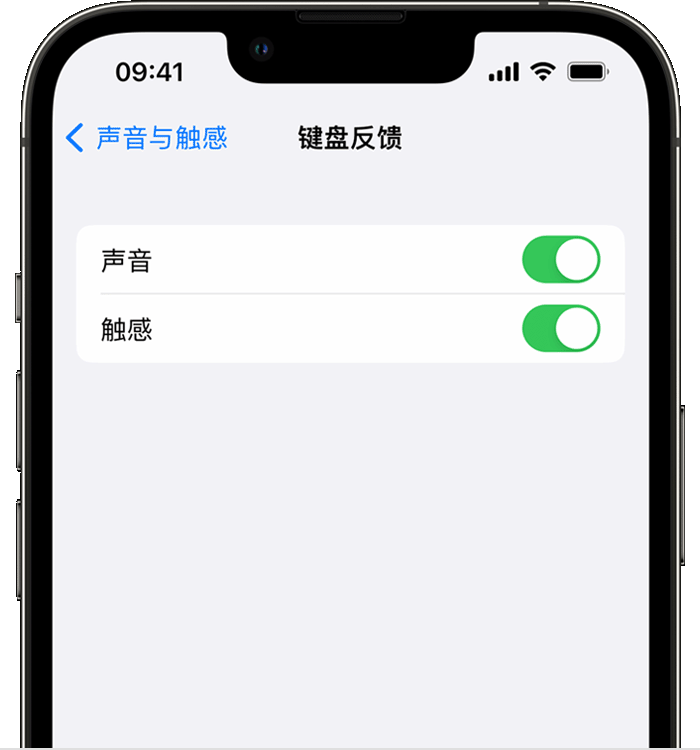 光泽苹果14维修店分享如何在 iPhone 14 机型中使用触感键盘 