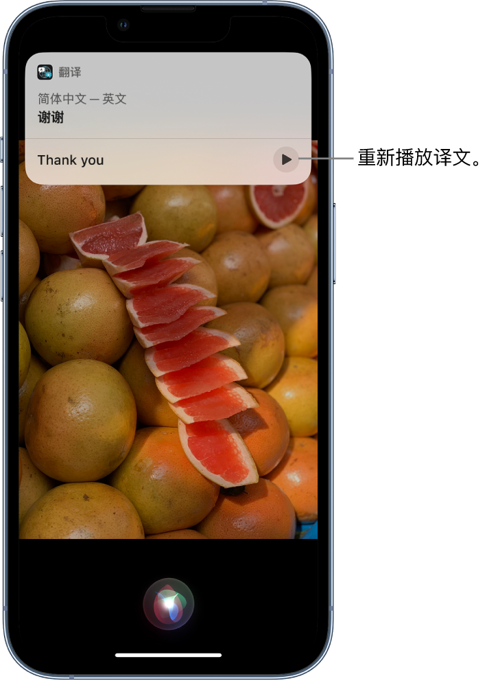 光泽苹果14维修分享 iPhone 14 机型中使用 Siri：了解 Siri 能帮你做什么 