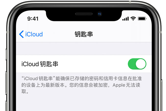 光泽苹果手机维修分享在 iPhone 上开启 iCloud 钥匙串之后会储存哪些信息 