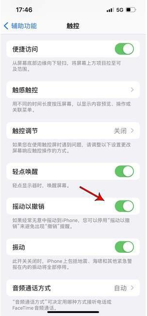 光泽苹果手机维修分享iPhone手机如何设置摇一摇删除文字 